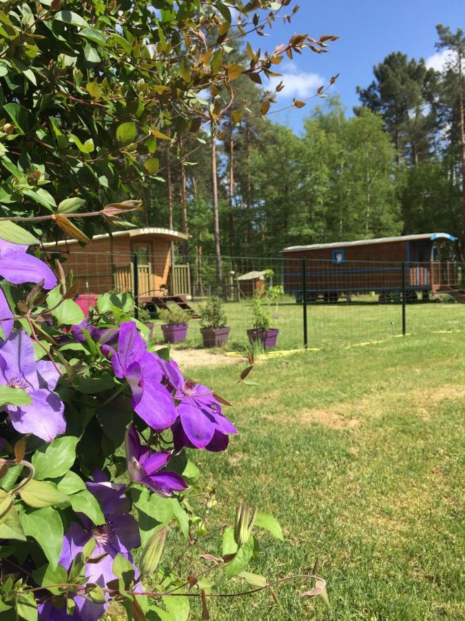 Roulottes Du Chalet Des Pins Rougeou Dış mekan fotoğraf