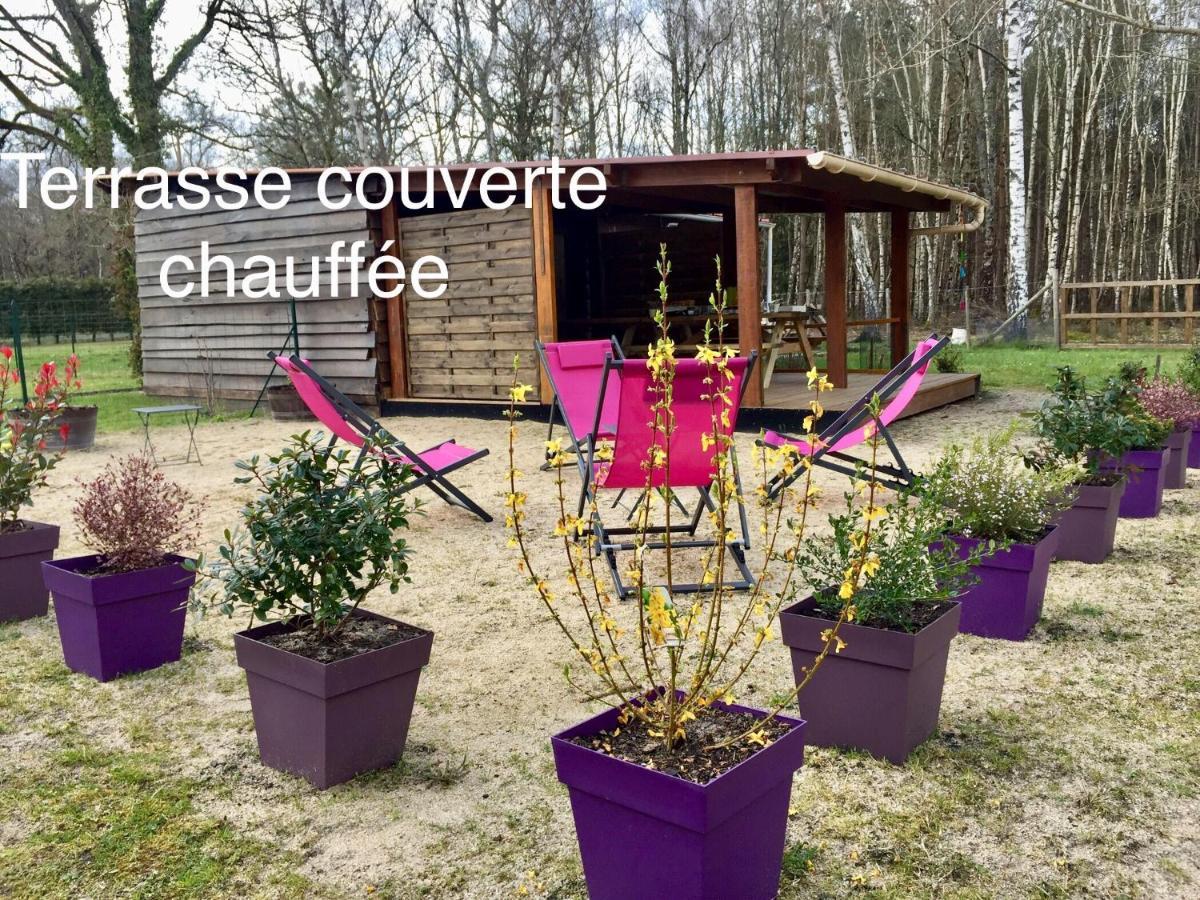 Roulottes Du Chalet Des Pins Rougeou Dış mekan fotoğraf