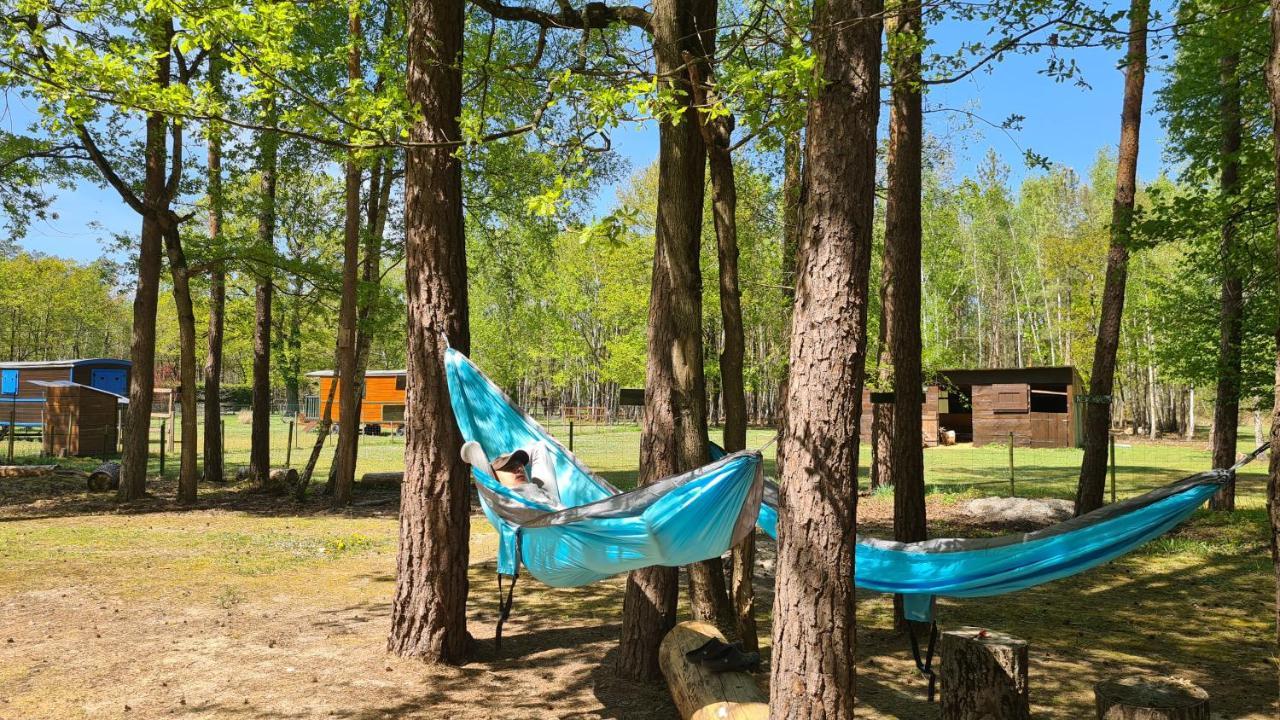 Roulottes Du Chalet Des Pins Rougeou Dış mekan fotoğraf